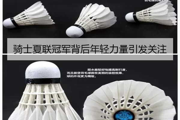 骑士夏联冠军背后年轻力量引发关注
