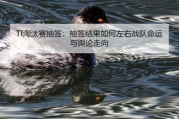 tao-tai-sai-chou-qian-chou-qian-jie-guo-ru-he-zuo-you-zhan-dui-ming-yun-yu-yu-lun-zou-xiang-2-226.jpg